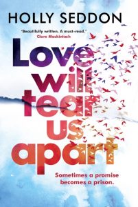cover art for Love Will Tear Us Apart by Holly Seddon