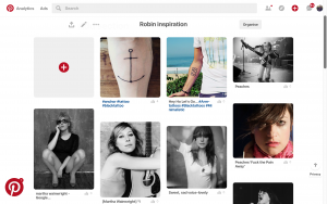 Robin inspiration board on Pinterest
